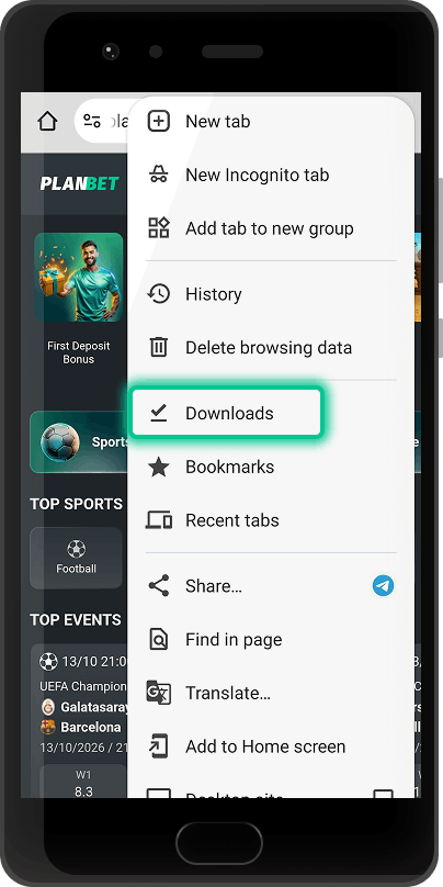 Downloads option in Chrome on Android
