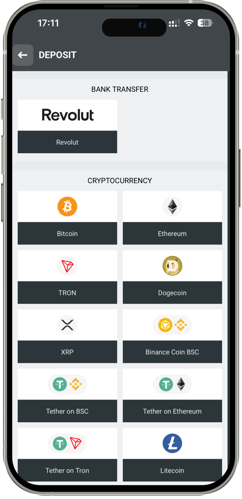 Planbet deposit screen showing available cryptocurrency payment methods